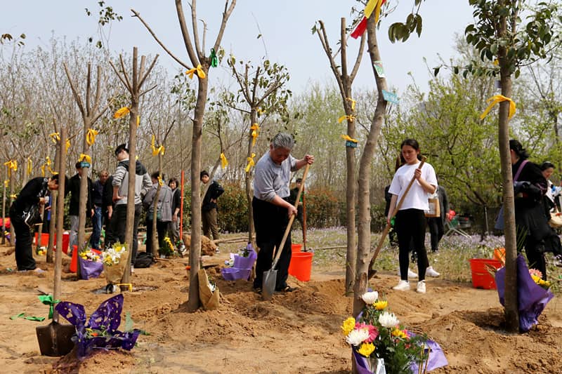 China tree burial