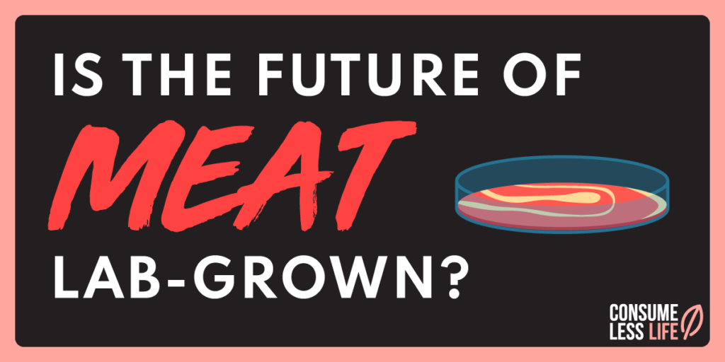 is the future of meat lab grown