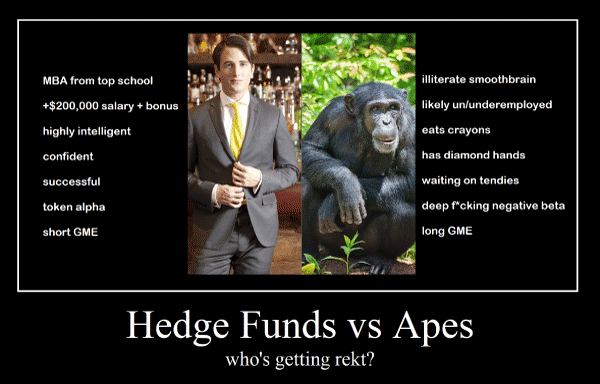 hedgies vs apes